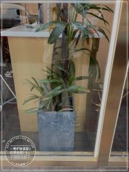 -一東造型烫发染发