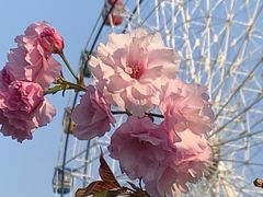 -观澜湖生态运动公社