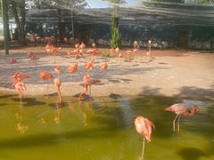 -鄂尔多斯野生动物园