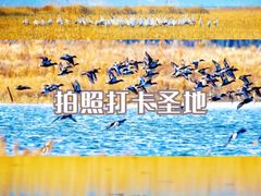 -沉浸北京·团建旅行·密室剧本杀·年会会议轰趴拓展
