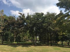 -尚贤河湿地
