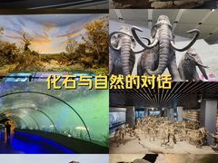 -大庆市博物馆