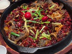 -老板恋上鱼(恒隆广场店)