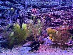 -上海海洋水族馆