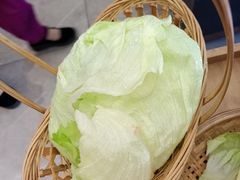 -菌子鲜汤野生菌锅