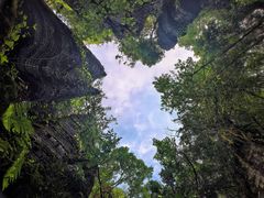 -梭布垭石林景区