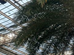 -龙达温泉生态城