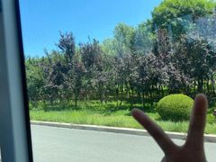 -前王院•巧克力海鲜市集餐厅(万平口店)