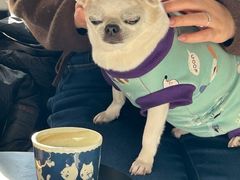 -Joymean coffee.见面咖啡
