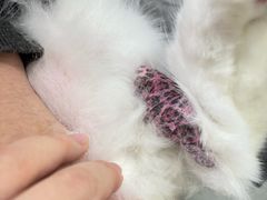 -酷宠动物医院(天通西苑店)