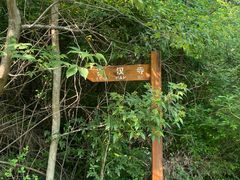 -青龙山国家森林公园