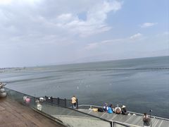 -大理洱海
