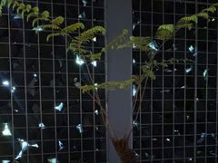 -肴约·花园式餐厅(湖里店)