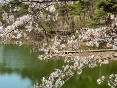 -沂蒙山旅游区龟蒙景区