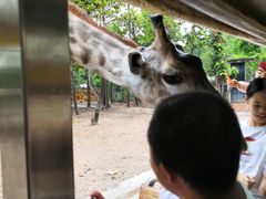 -清迈夜间动物园