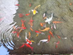 -雁荡山三折瀑景区