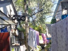 -北京国子监胡同