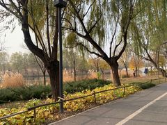 -马家湾湿地公园