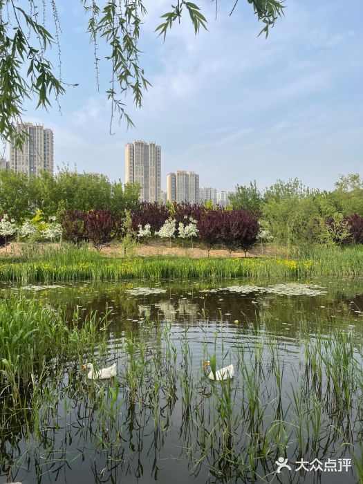 永定河休闲森林公园图片