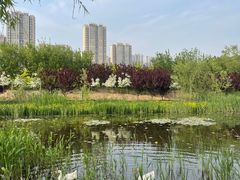 -永定河休闲森林公园