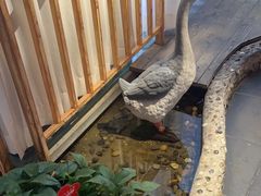 -醉霖生态餐厅(交大店)