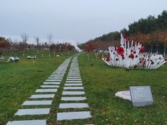 -北京美神宫艺术主题温泉酒店