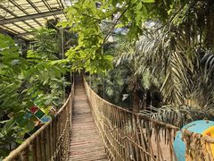 -呀路古热带植物园