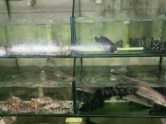 -鸿旺海鲜楼(平潭流水店)