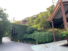 -巴倒烫陆派火锅山庄(南山总店)