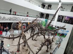 -中国地质大学逸夫博物馆