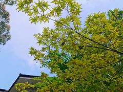 -南山植物园