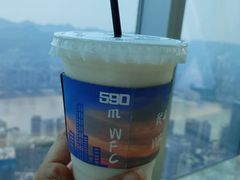 -WFC会仙楼观景台