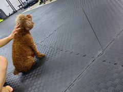 -FIGHTMAN格斗俱乐部(长宁临空店)