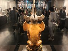 -徐州博物馆