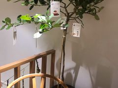 -Oasis coffee燕谷咖啡(公信店)