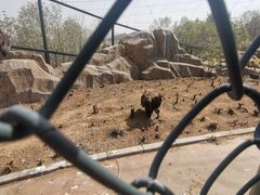 -石家庄市动物园