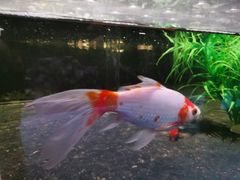 -胡同烧烤·烤肉(塔湾店)