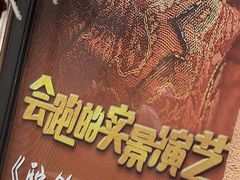 -《驼铃传奇》秀