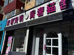 -青奢宠物·青奢猫舍