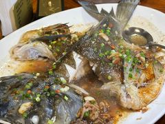 -顺德了能馆(虎门店)