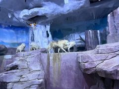 -多彩贵州城极地海洋世界