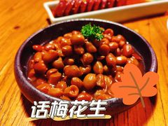 -新白鹿餐厅(百联中环店)