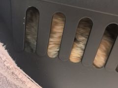 -纳吉亚猫专科动物医院·北北分院