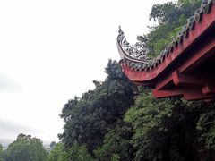 -荣县大佛