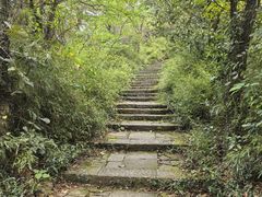 -杭州半山国家森林公园