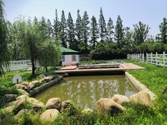-前小桔亲子创意农场·草莓采摘·露营烧烤
