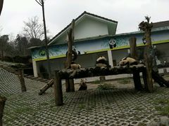 android_upload_pic-碧峰峡风景区