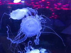 -五缘湾悦都汇购物中心