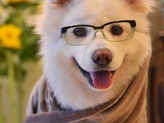 -御品轩(高新店)