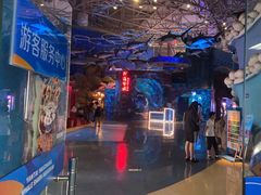 -烟台海昌鲸鲨海洋公园